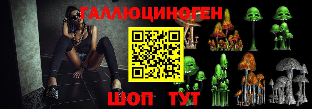 Назарово  где продают наркотики  Галлюциногенные грибы прущие грибы  Вход с VPN  Псилоцибиновые грибы Cubensis 